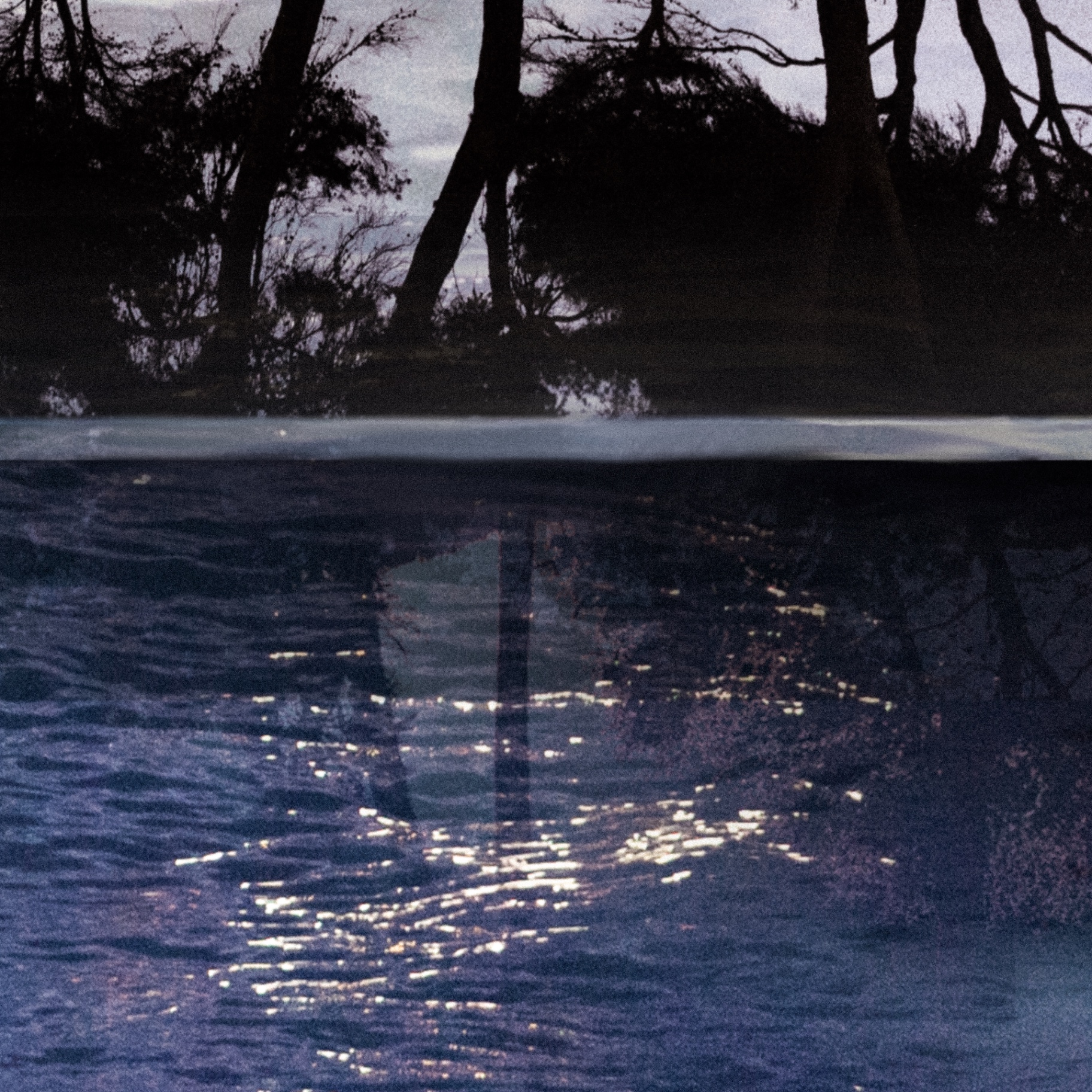 Shcaa — Beautiful Situation