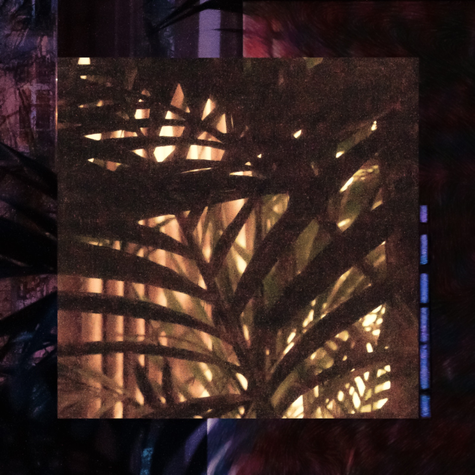 Shcaa — Golconde