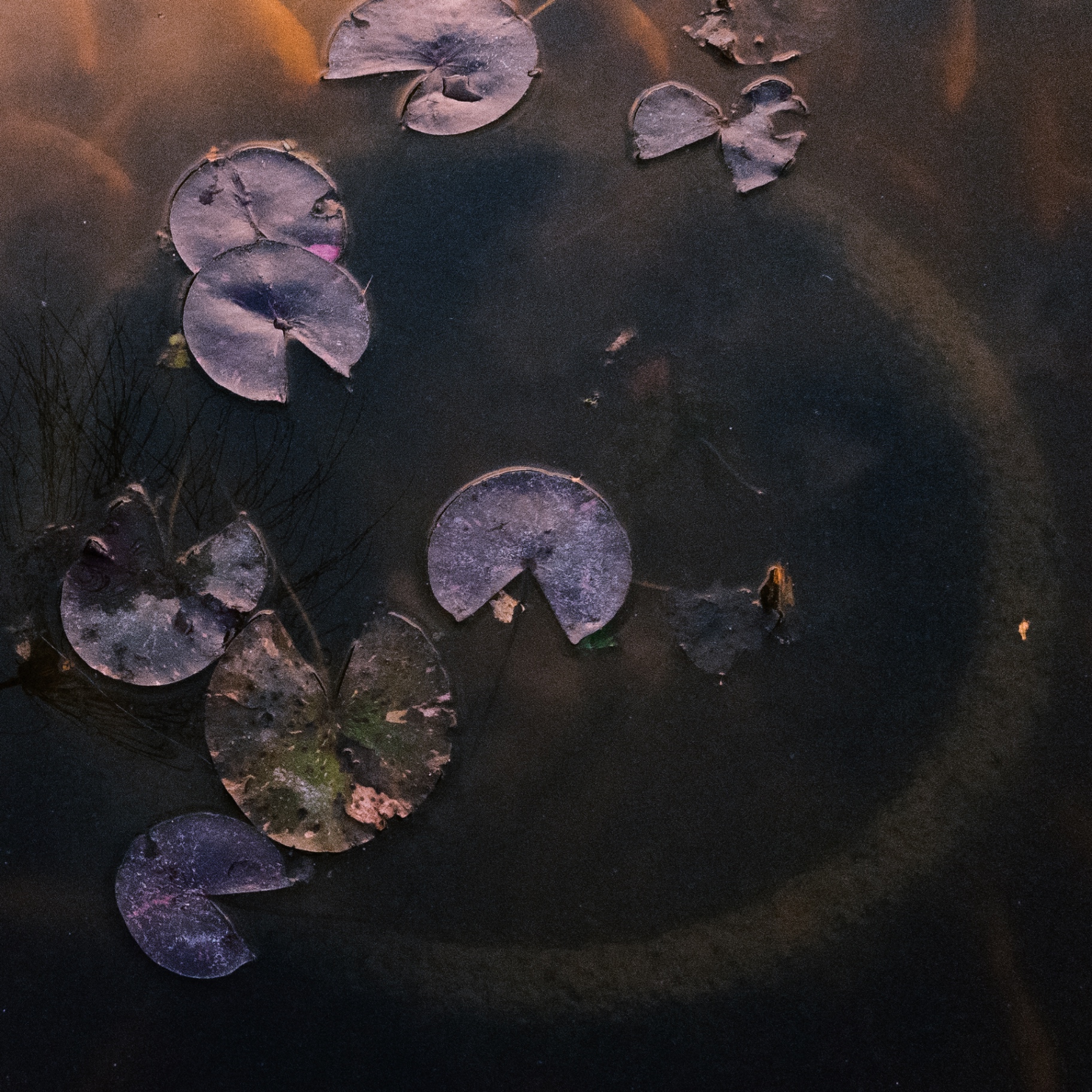 Ain° — Interior Rooms