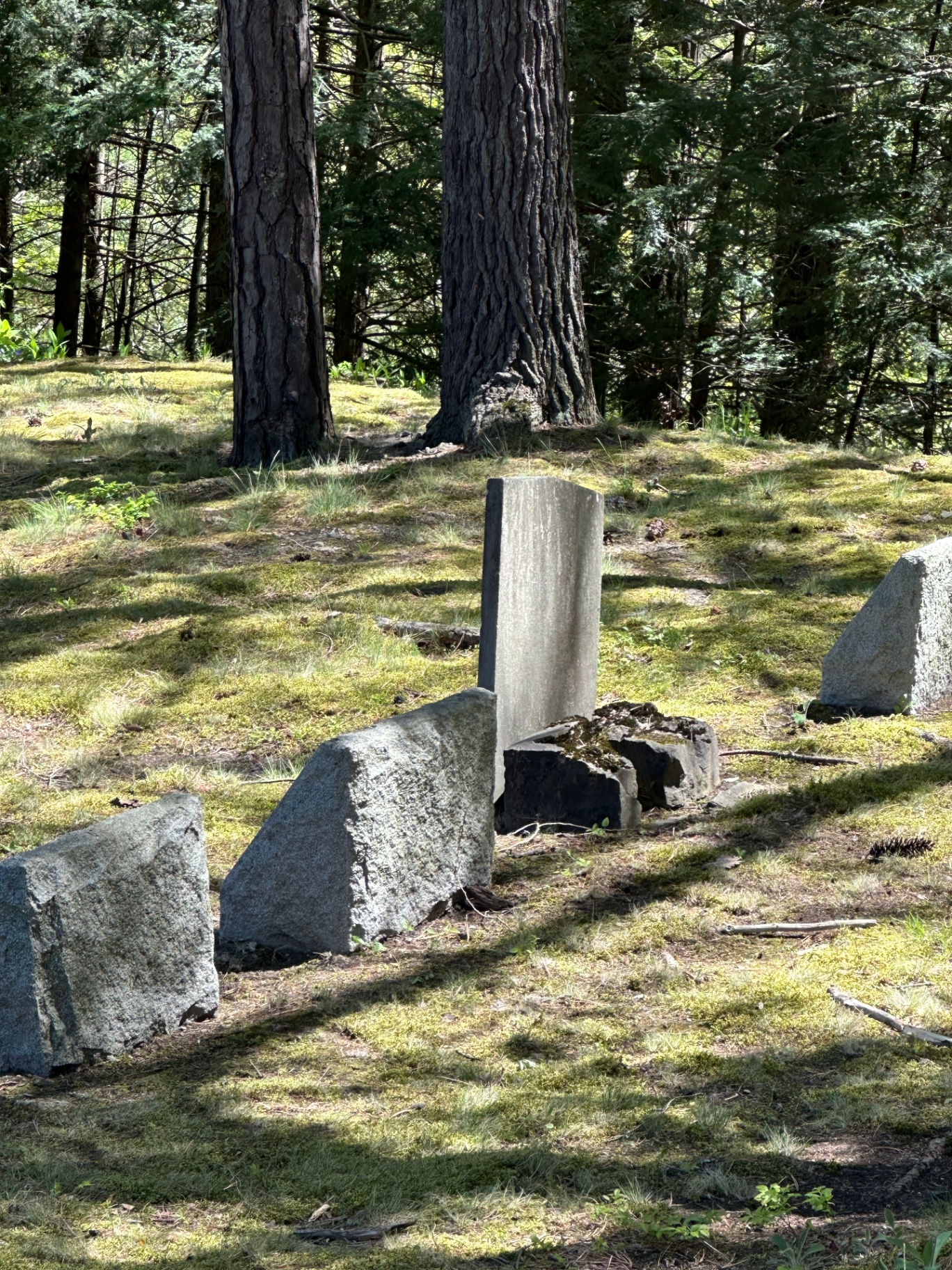 Albini Grave