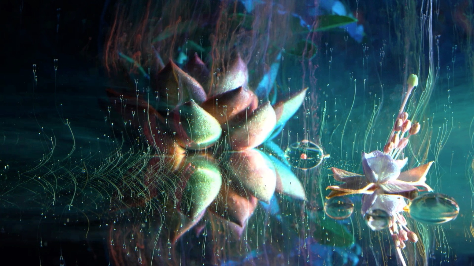 Astral 5