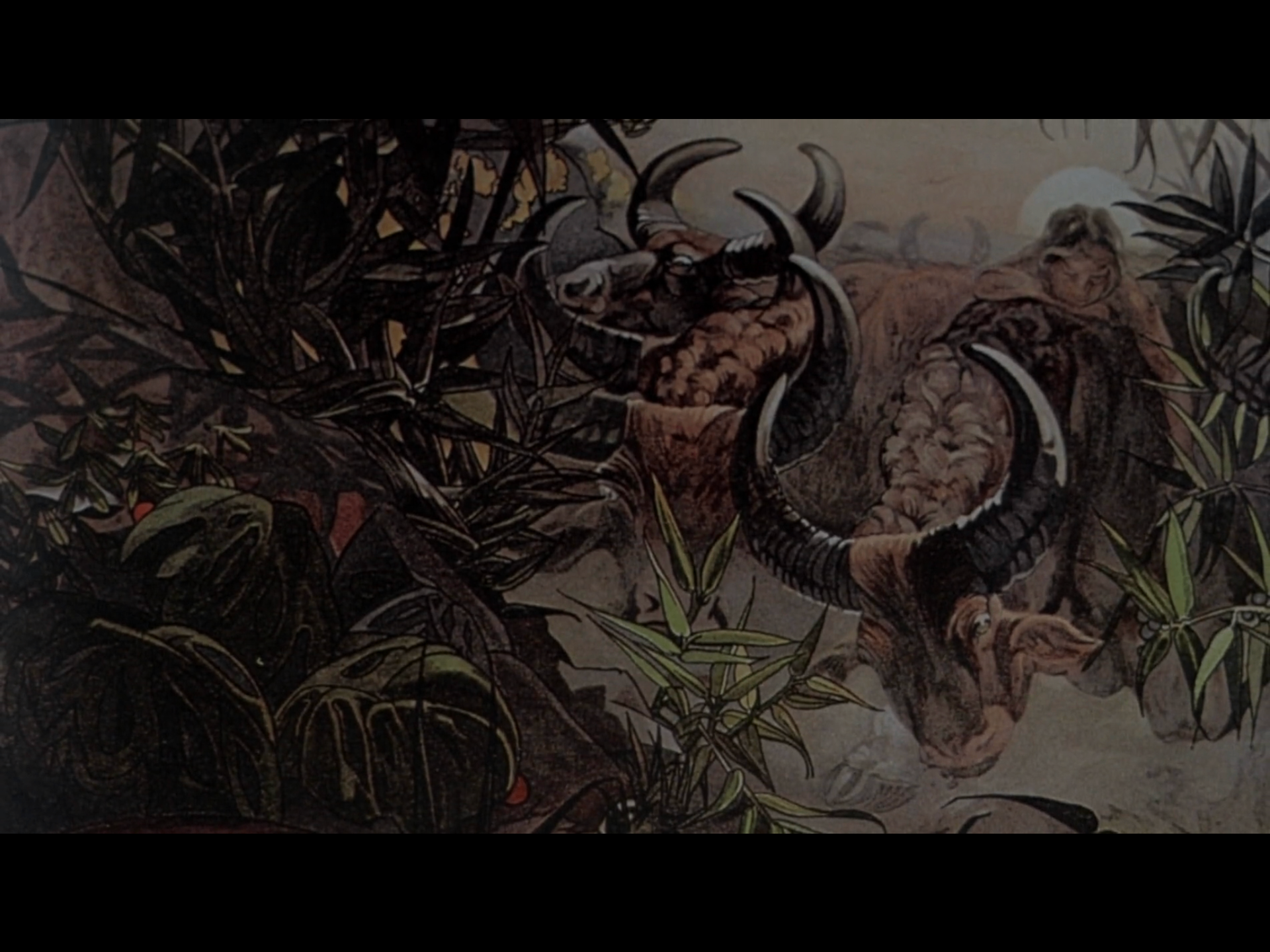 Days Of Heaven Buffalo