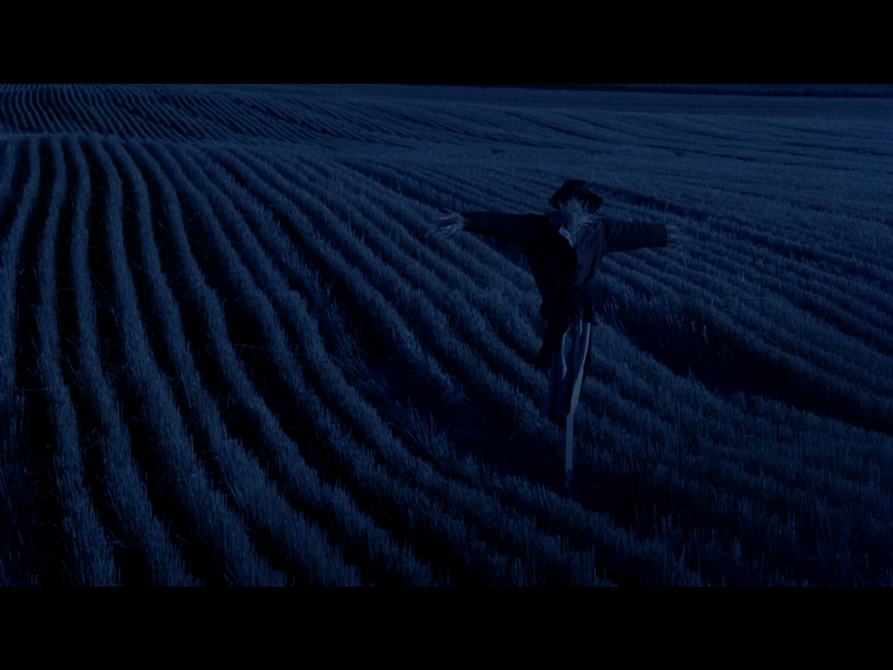 Days Of Heaven Scarecrow