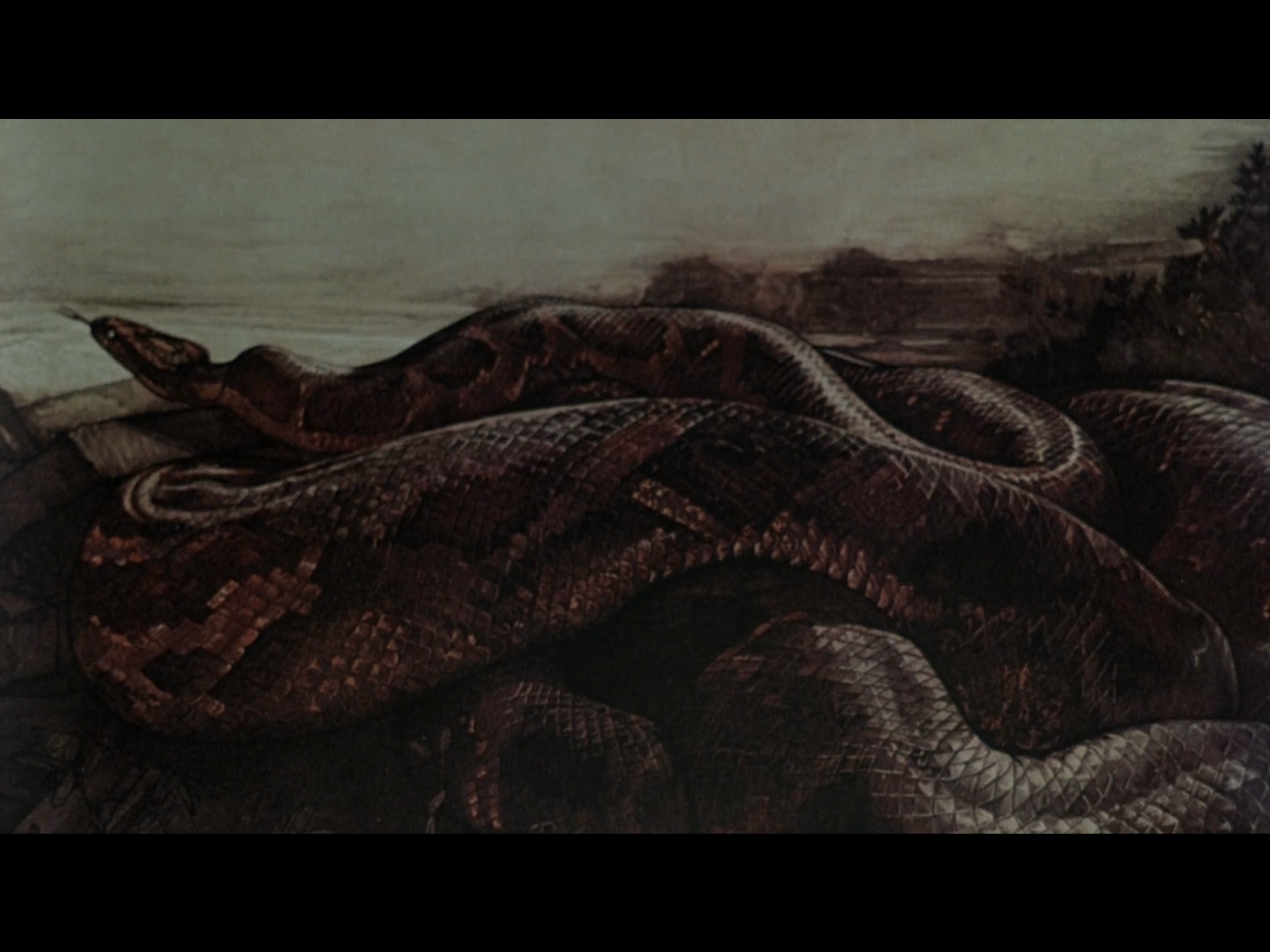 Days Of Heaven Snake