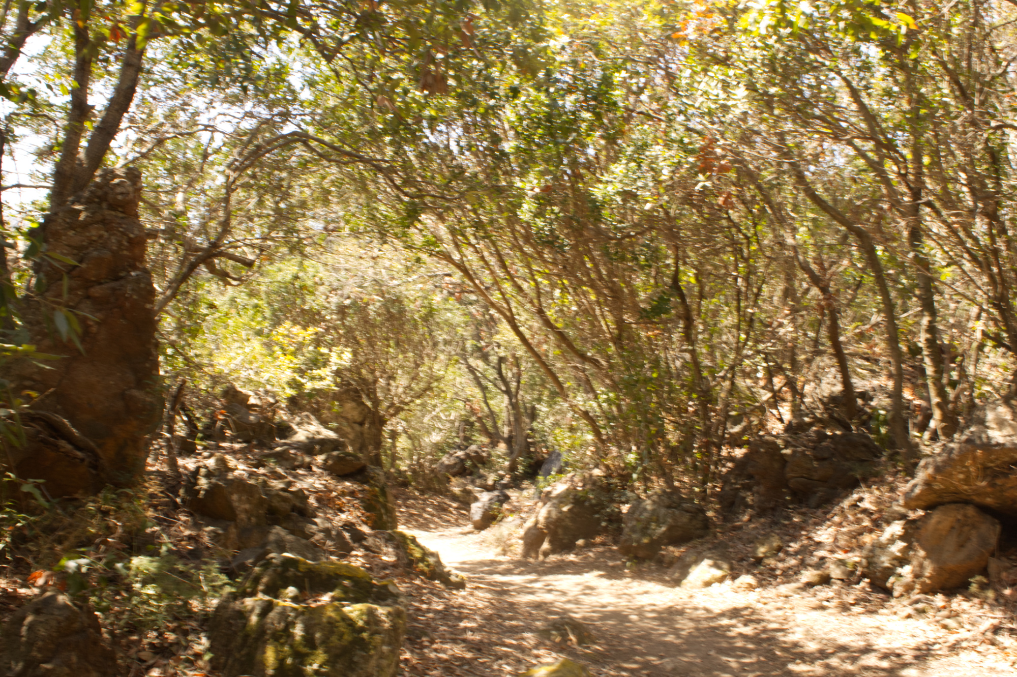 Pantelleria Path