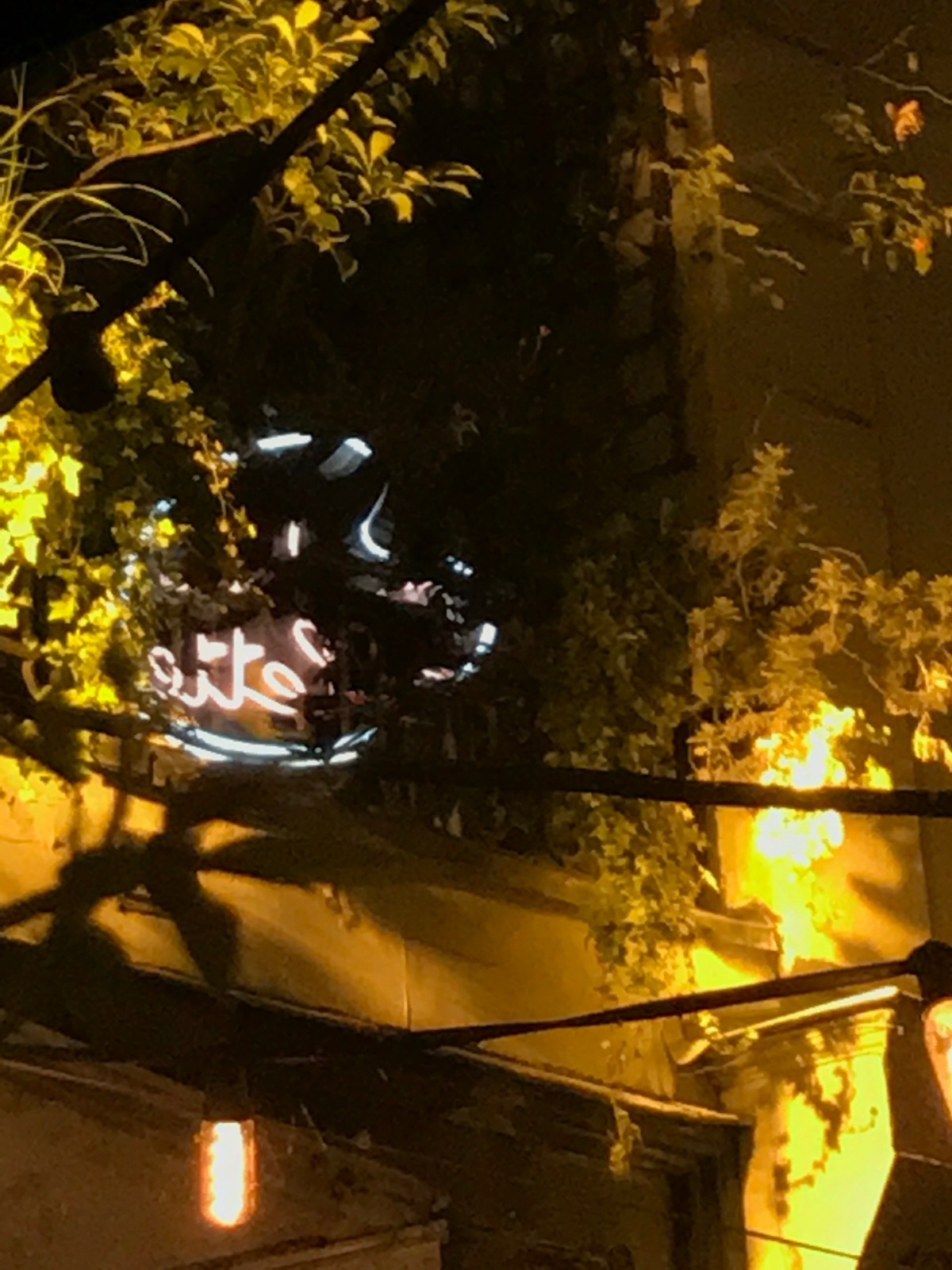 Pigalle Neon 1