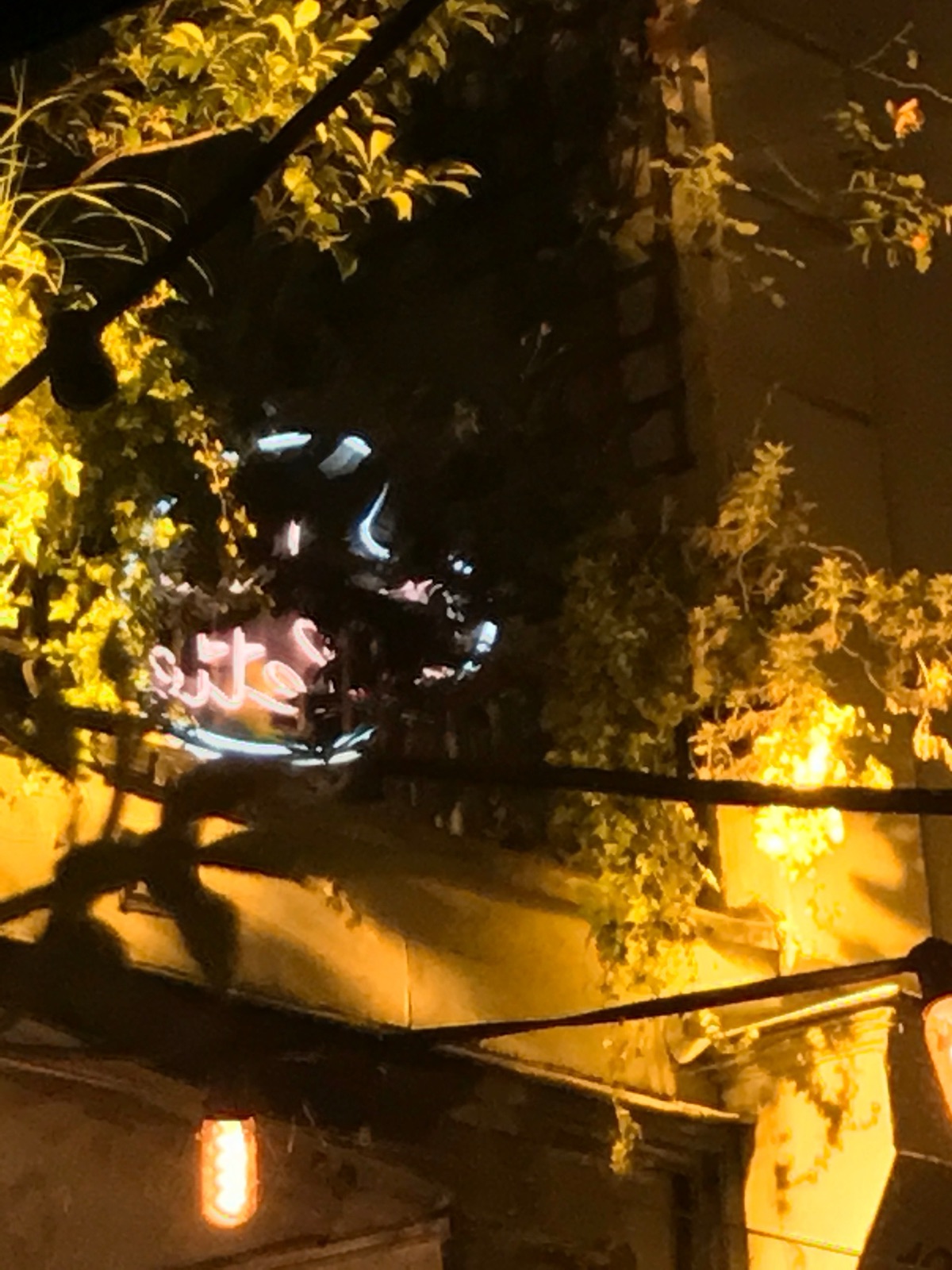 Pigalle Neon 2