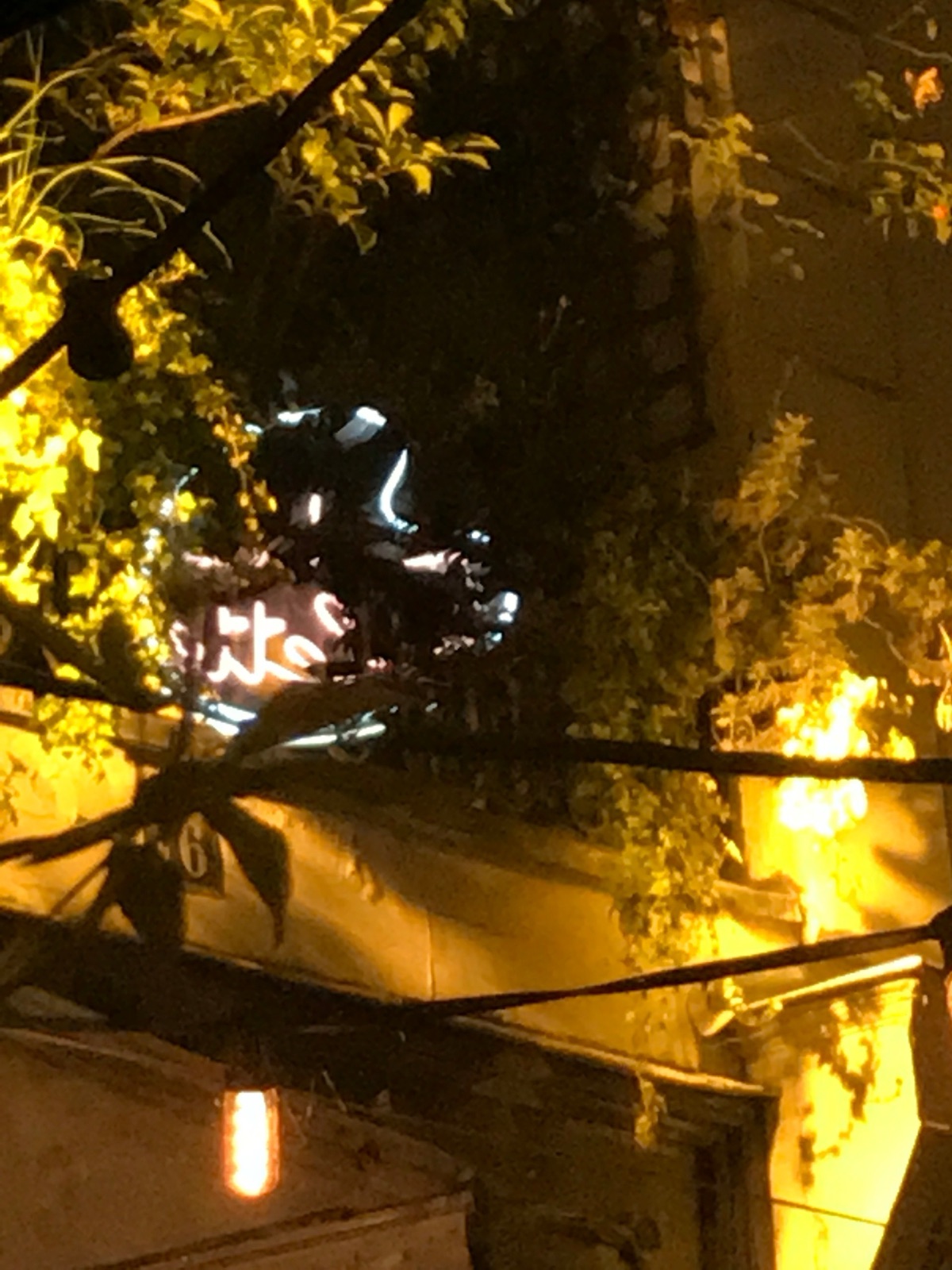 Pigalle Neon 3