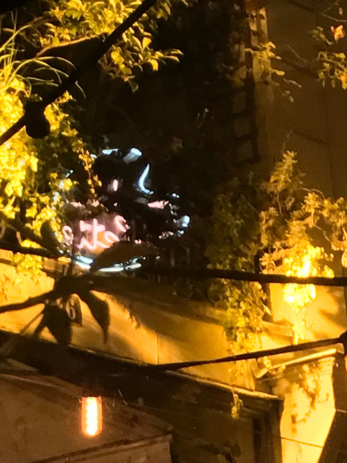 Pigalle Neon 4