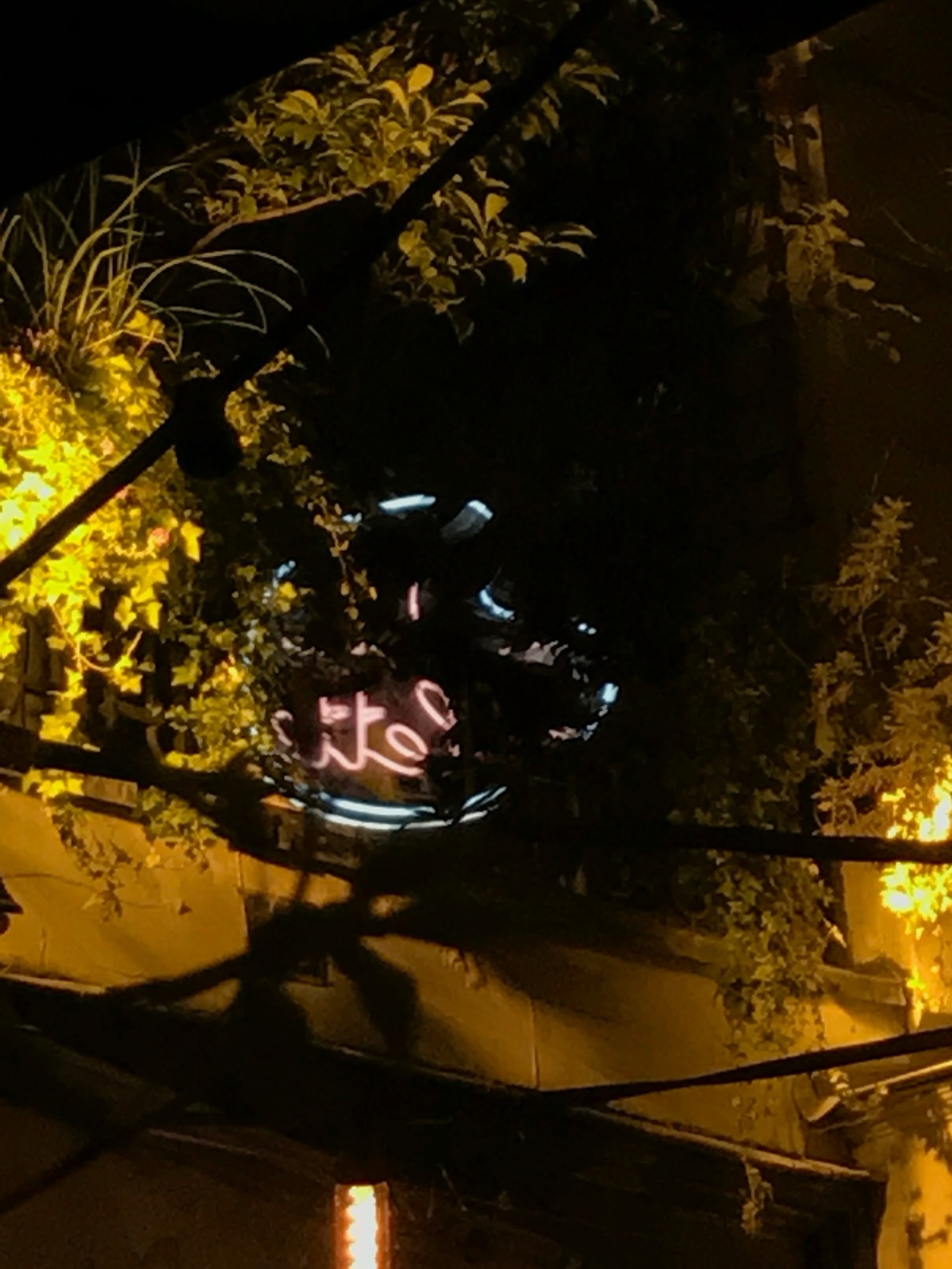 Pigalle Neon 5