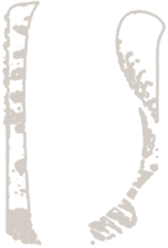 Placidum Logo