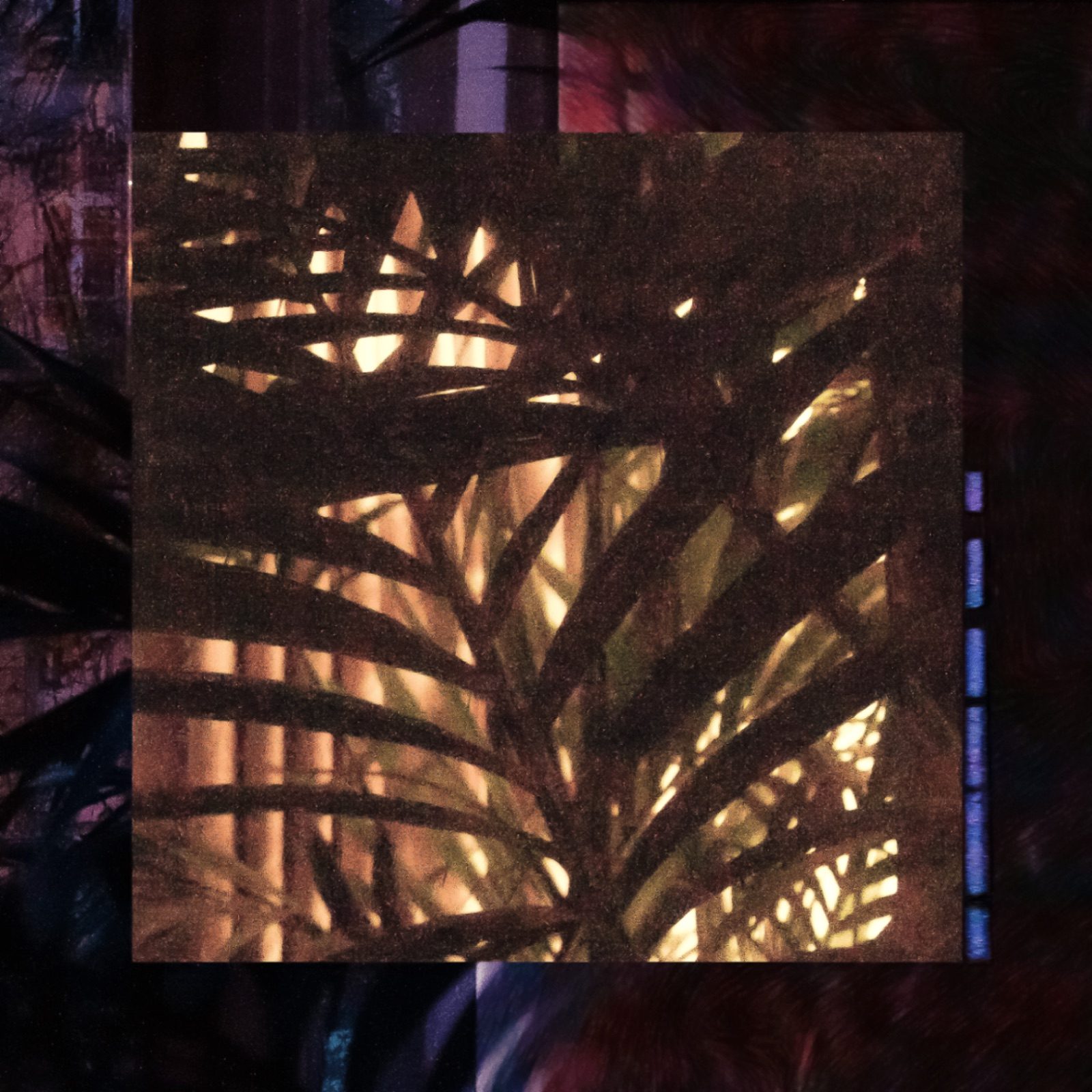 Shcaa — Golconde