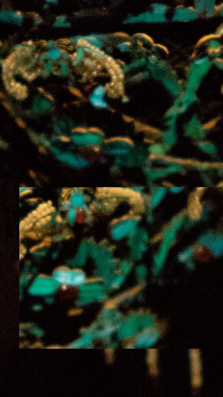 Soft Signs 7