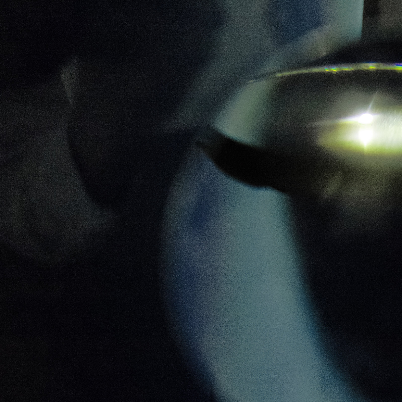 Nocturnal Solutions 2